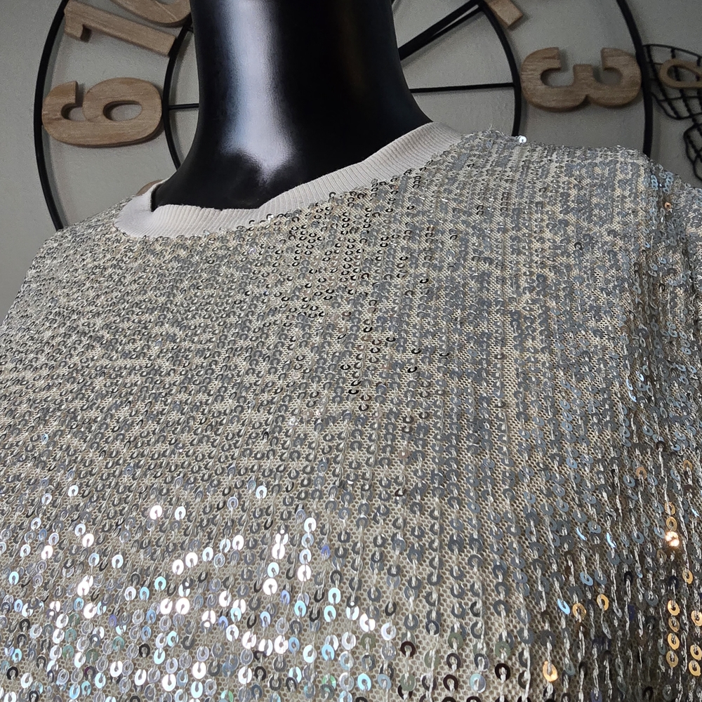 Silver Sequin Party Top | NWT | Size Small | Sparkle Crop Tee